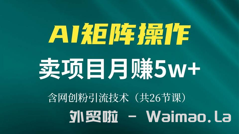 (13335期)网创IP打造课,借助AI卖项目月赚5万+,含引流技术(共26节课)-飞哥网创